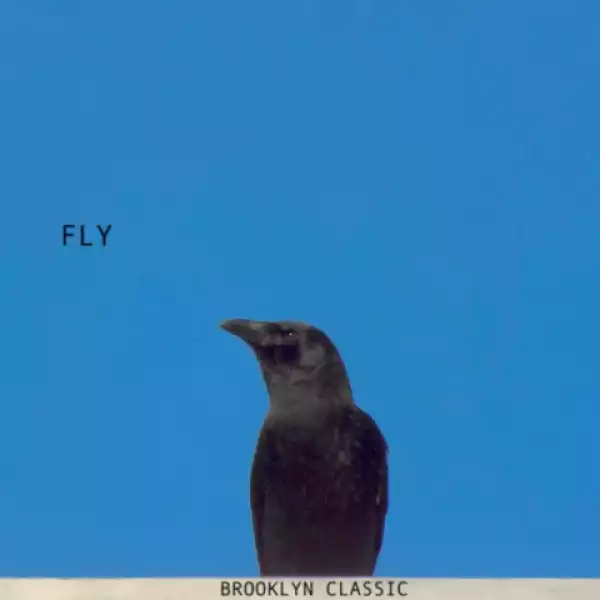 Brooklyn Classic, Sash Hunter - Fly (Sash  Hunter Mix)